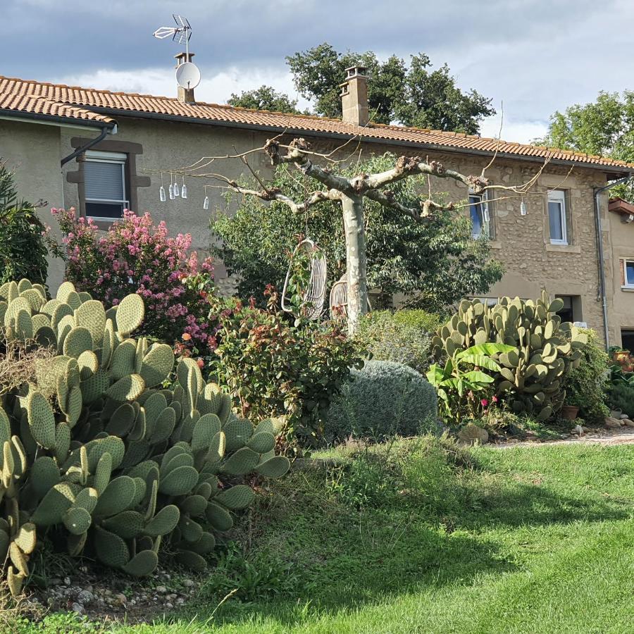 Villa Les Figuets Chateauneuf-de-Galaure Exterior foto