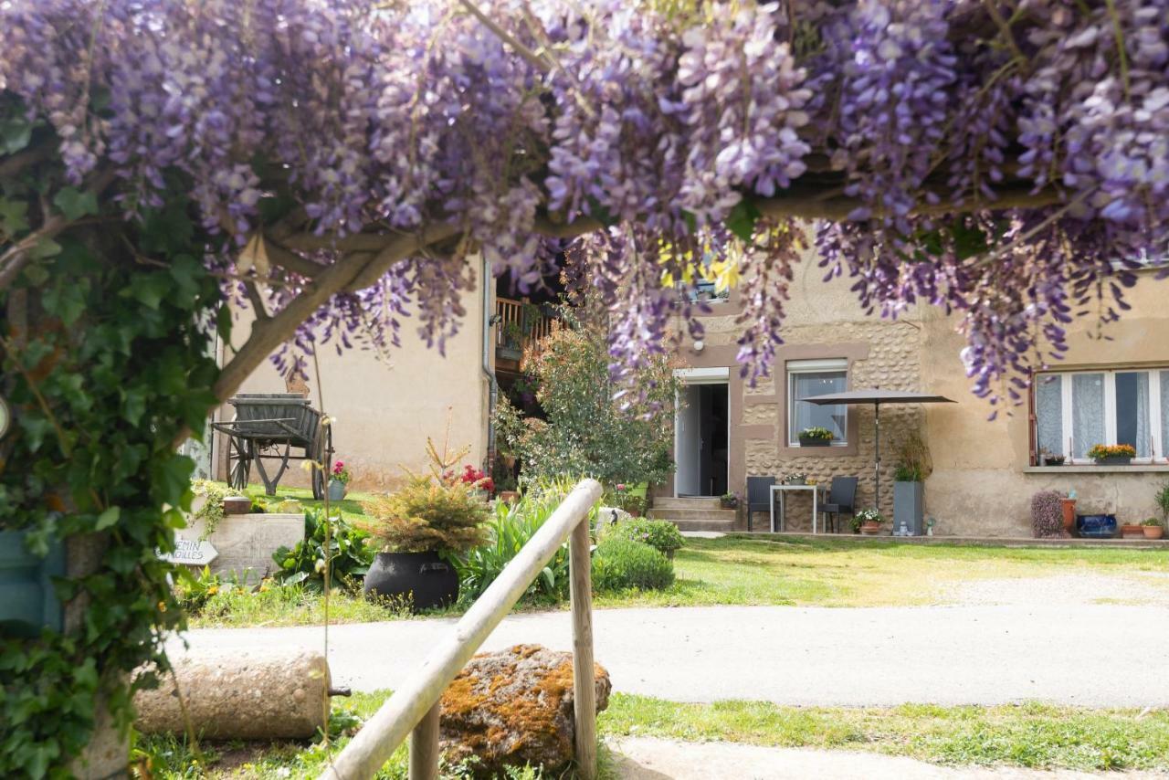 Villa Les Figuets Chateauneuf-de-Galaure Exterior foto